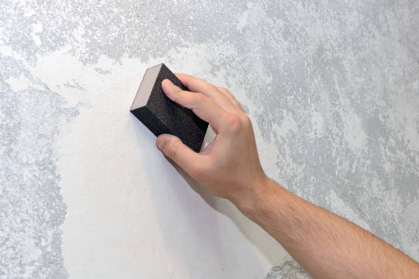 Best Black Mold Removal  in San Augustine, TX