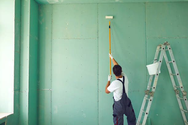 Best Mold Odor Removal Services  in San Augustine, TX