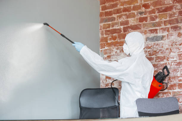 Best Industrial Mold Remediation  in San Augustine, TX