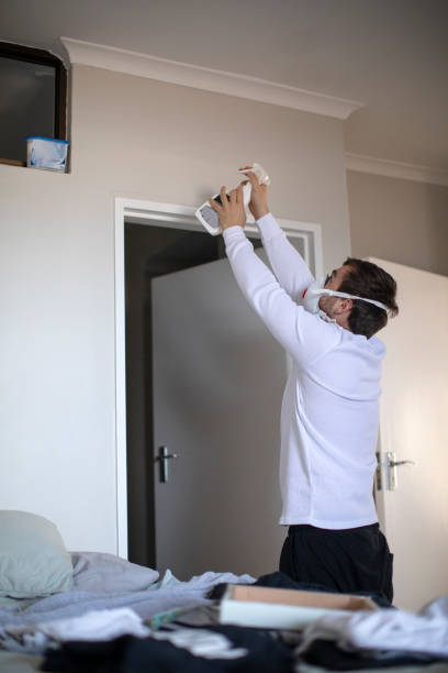 Best Attic Mold Removal  in San Augustine, TX
