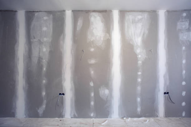 Best Environmental Consulting for Mold Prevention  in San Augustine, TX